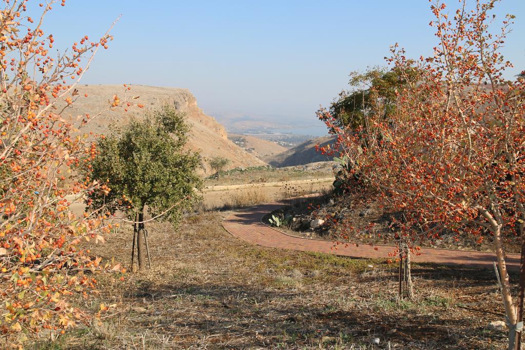 Switzerland In The Arbel Casa de hóspedes Exterior foto